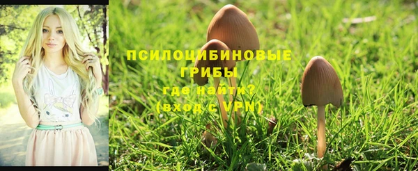 амф Бородино