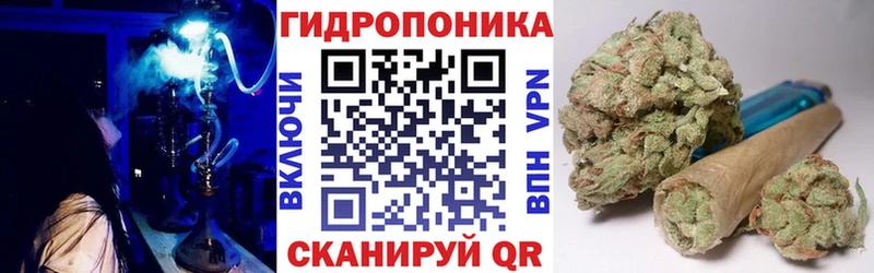 Бошки марихуана Amnesia  где найти   Дудинка 